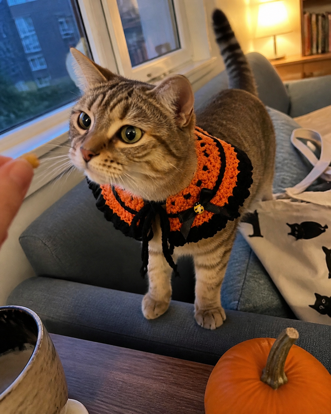 Halloween Pet Costume Accessories for Cats and Small Dogs